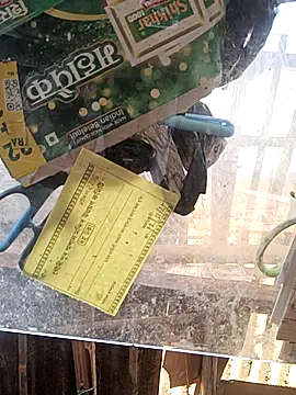 Skinny Bigass 23 online show from November 16, 7:25 am