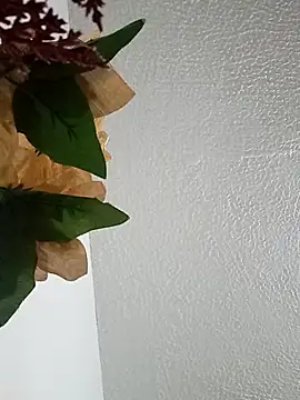 Naomy veracruz  online show from February 24, 10:02 am