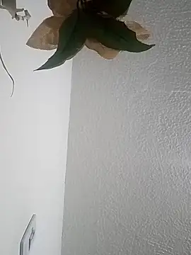 Naomy veracruz  online show from April 12, 11:04 am