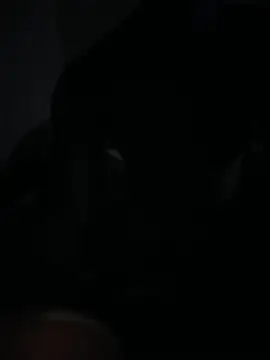 Bignc online show from March 27, 11:32 am