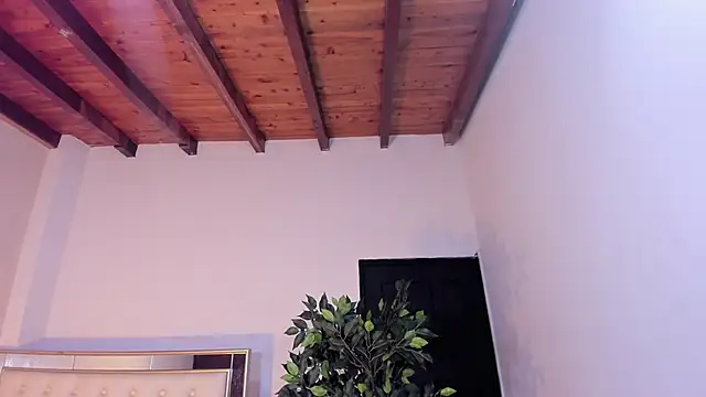 im sebaslopez online show from January 17, 8:01 pm