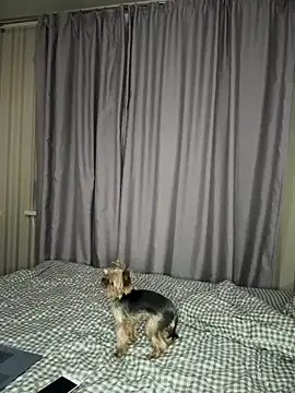 Cute Barbieee  online show from December 6, 10:08 pm