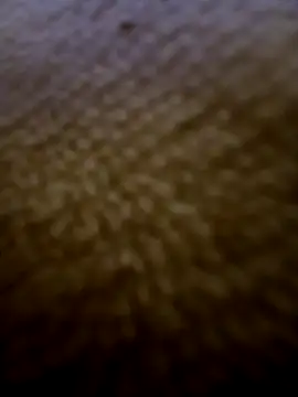 houy111111 online show from February 3, 5:51 pm