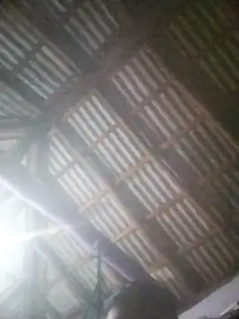 Feli230990 online show from April 8, 5:18 am