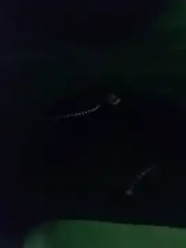 thanos65432 online show from March 18, 5:32 am