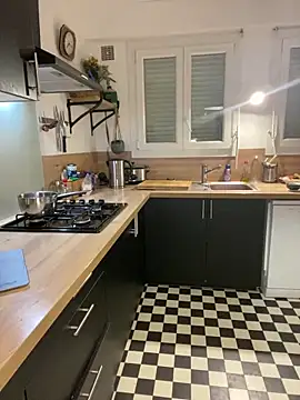 Snapshot of ImImmy chatting on January 14, 6:17 pm ImImmy online show from January 14, 6:17 pm