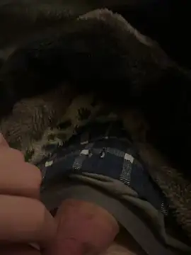 hamoo23p online show from February 22, 2:45 am