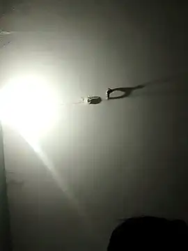 jaydev madhuri online show from March 19, 7:45 am