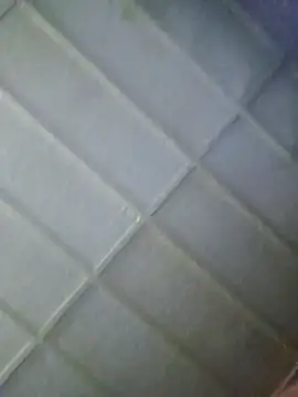 zaneporter46 online show from February 5, 6:12 pm