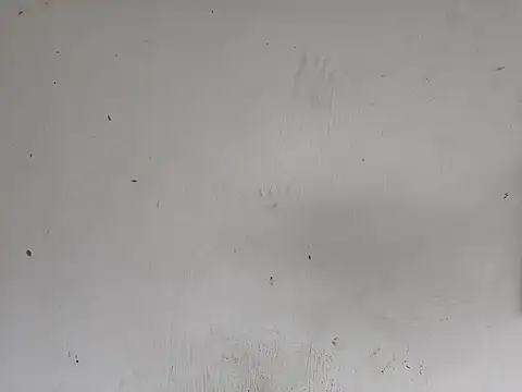 fs carioca online show from December 2, 8:26 pm