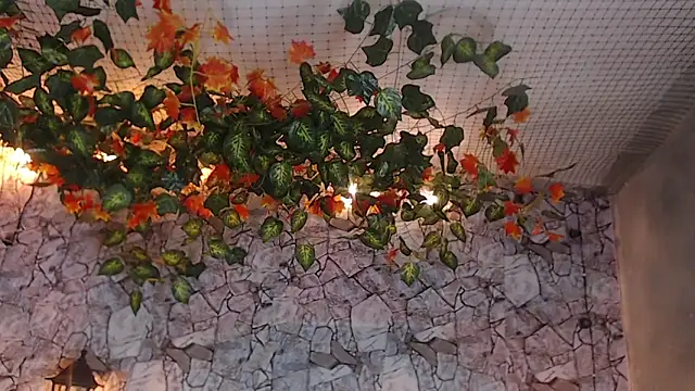 Lancelot Benwick online show from January 7, 1:38 am