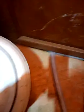 Snapshot of javierpasteur69 chatting on October 30, 5:31 am javierpasteur69 online show from October 30, 5:31 am