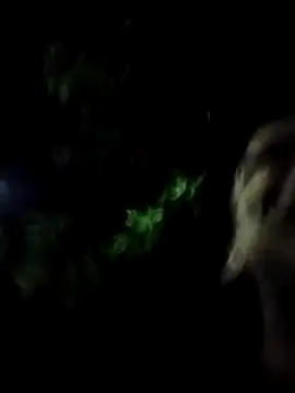 whoislone online show from February 14, 12:51 am