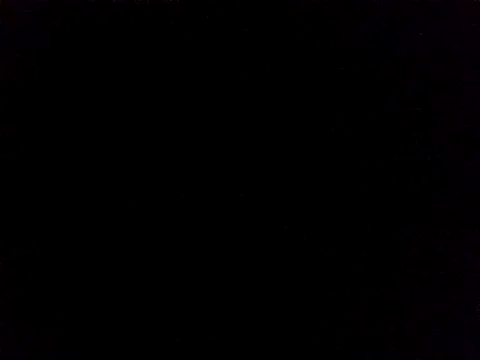 Lauren Amabel online show from November 24, 8:14 am