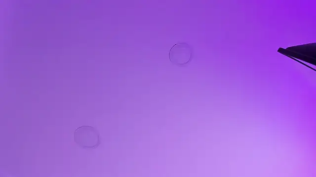 kathy bakerr online show from March 18, 1:25 pm