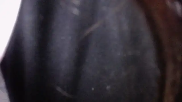 Snapshot of Sarita_v_ chatting on February 6, 6:56 pm Sarita v online show from February 6, 6:56 pm