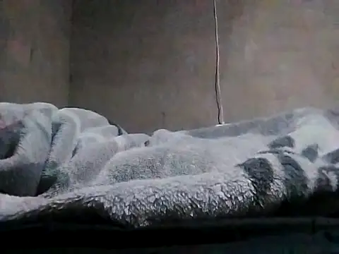 LaneYam online show from March 24, 8:03 pm