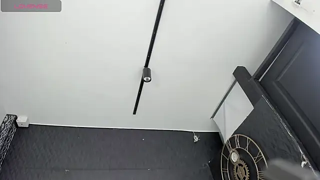 DalayMoore online show from November 16, 8:03 pm