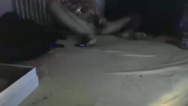 Snapshot of Damn_bro23 chatting on January 31, 8:51 pm Damn bro23 online show from January 31, 8:51 pm