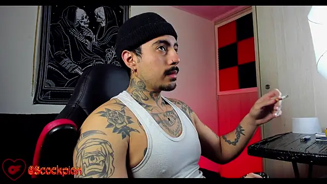 scockpion   online show from February 18, 8:32 am