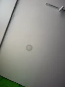 Dulce  Boyd online show from April 8, 2:17 pm