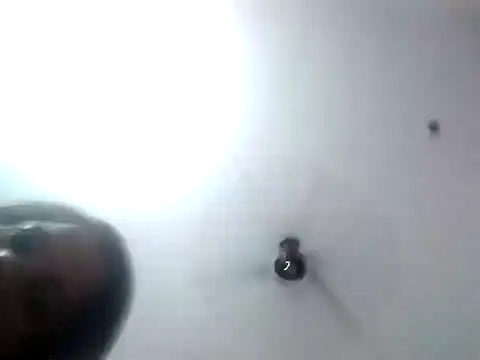 MEENA ROY online show from February 21, 2:27 pm