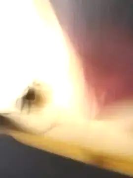 EmCyrex online show from March 26, 11:49 am