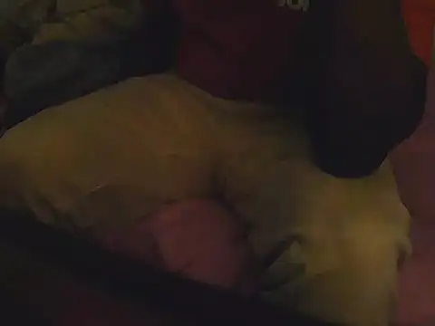 Fuckmehardandcloudy online show from March 21, 8:45 pm