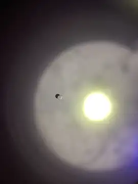 1Zoey101 online show from March 30, 9:16 pm