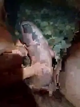 Luis katya online show from February 10, 1:32 am