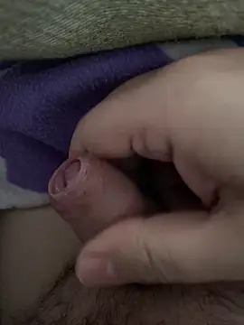 littletoy64 online show from February 7, 8:07 am