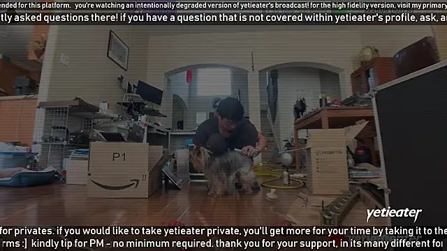 Snapshot of yetieater chatting on February 13, 5:22 pm yetieater online show from February 13, 5:22 pm