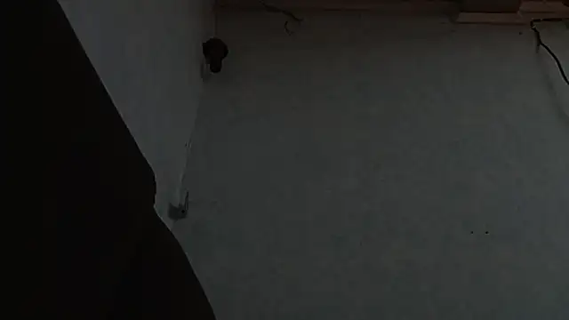 PrimordialChill6 online show from April 6, 3:59 am