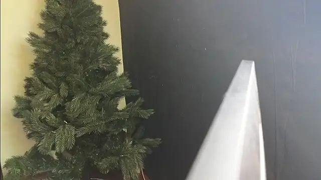 Maya Mayflower online show from March 4, 12:12 pm