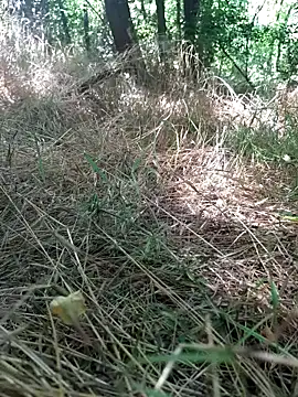 sile47 online show from June 14, 1:02 pm