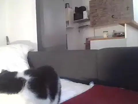 Snapshot of ThePython666 chatting on March 22, 7:25 am ThePython666 online show from March 22, 7:25 am