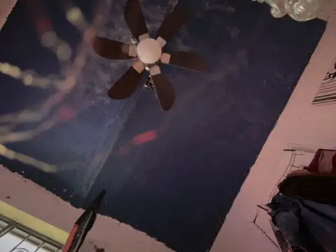 LoganPeny online show from March 21, 2:20 pm