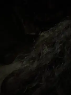 Snapshot of aa520uv chatting on February 5, 12:43 pm aa520uv online show from February 5, 12:43 pm