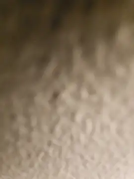 ikeike-kun online show from April 8, 2:44 am