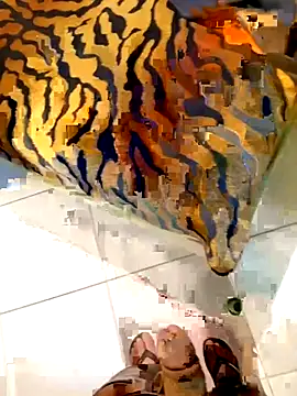 Dglo0000 online show from February 28, 4:46 am