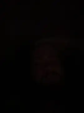 Bear2323 online show from May 20, 4:07 am