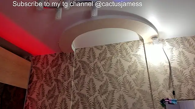 Cactus  James online show from December 21, 2:57 pm