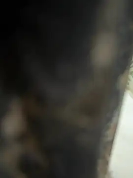 Snapshot of dilu98 chatting on February 21, 2:01 am dilu98 online show from February 21, 2:01 am