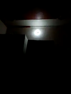 wildlkitten online show from March 20, 9:24 pm