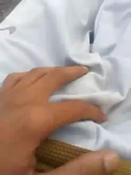 tiibcstuj online show from February 14, 12:13 pm