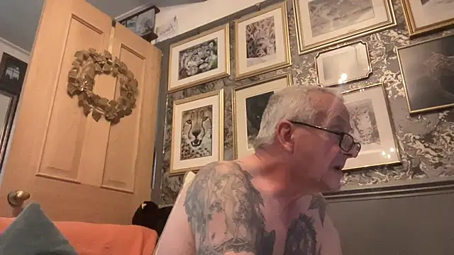 Snapshot of poggles chatting on November 29, 12:41 pm poggles online show from November 29, 12:41 pm