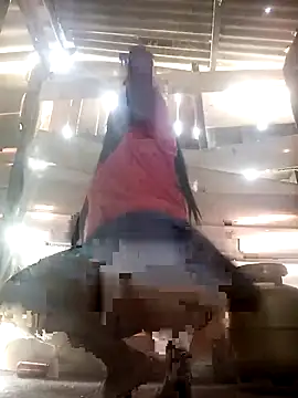 srtsara online show from April 2, 10:46 am