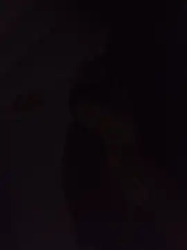 Sexxoophone online show from July 3, 3:35 am