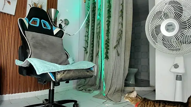 Snapshot of Darwin_mayo chatting on December 22, 5:32 pm Darwin mayo online show from December 22, 5:32 pm