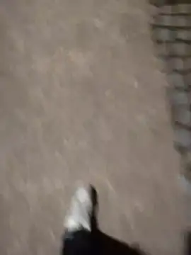 berto acierto98 online show from March 12, 9:21 pm